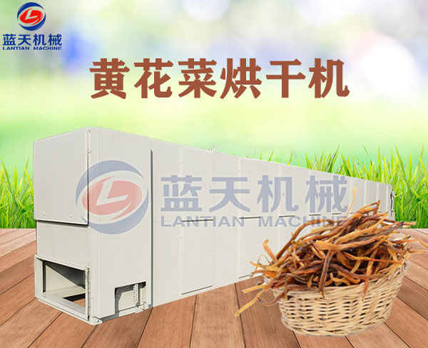 黃花菜烘干機