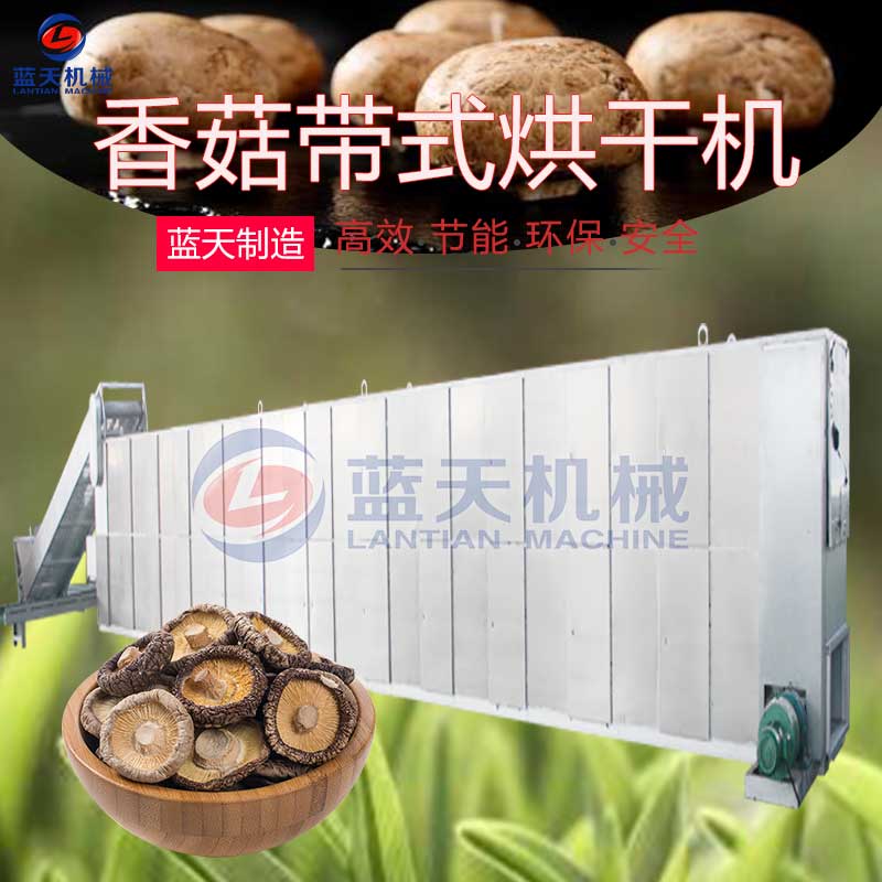 香菇帶式烘干機