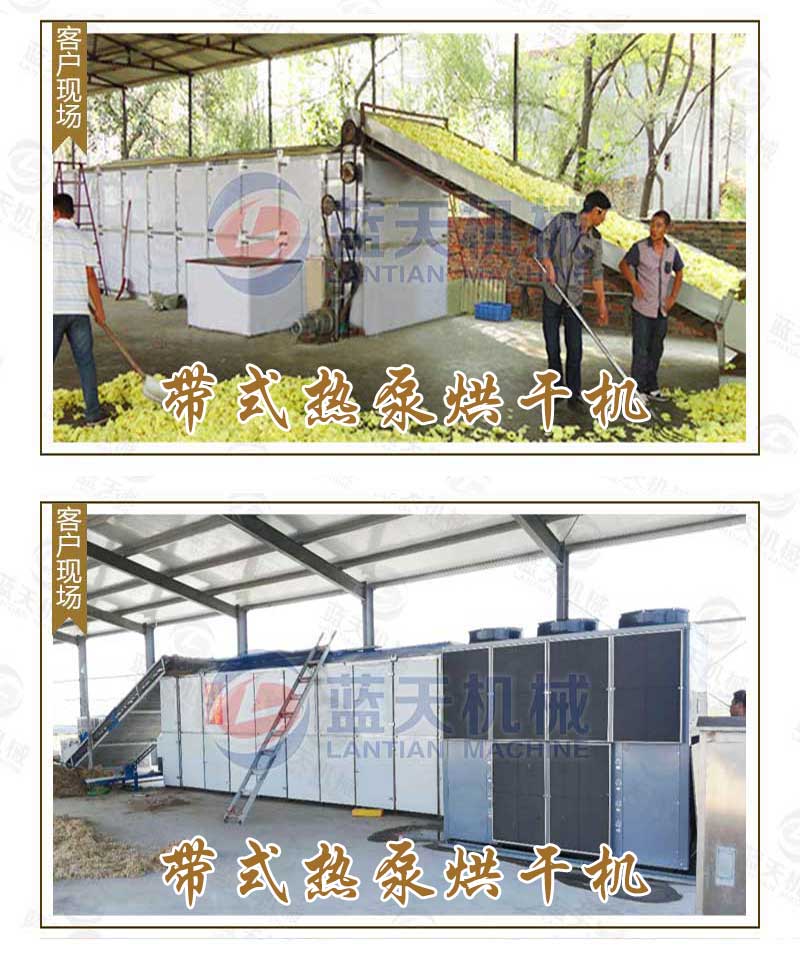 帶式桑葚烘干機(jī)