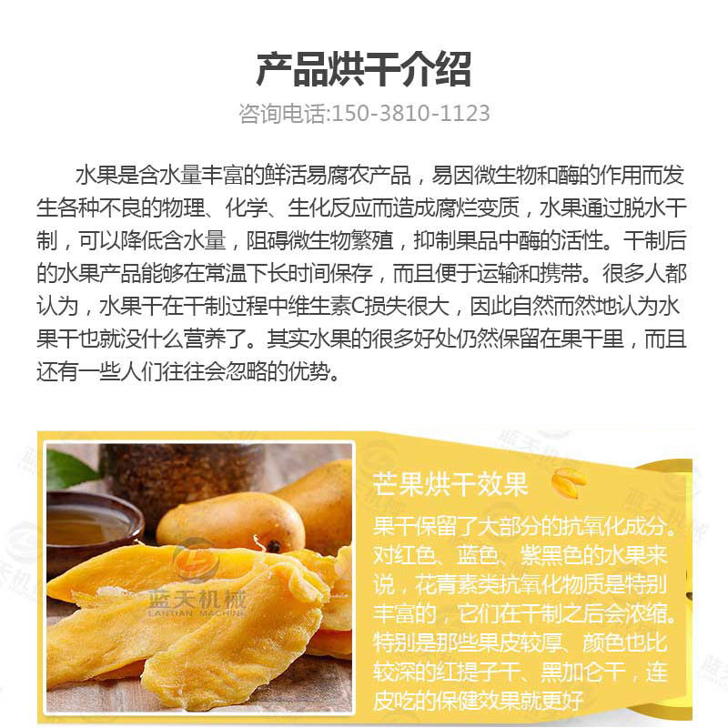 芒果片烘干機產品烘干介紹