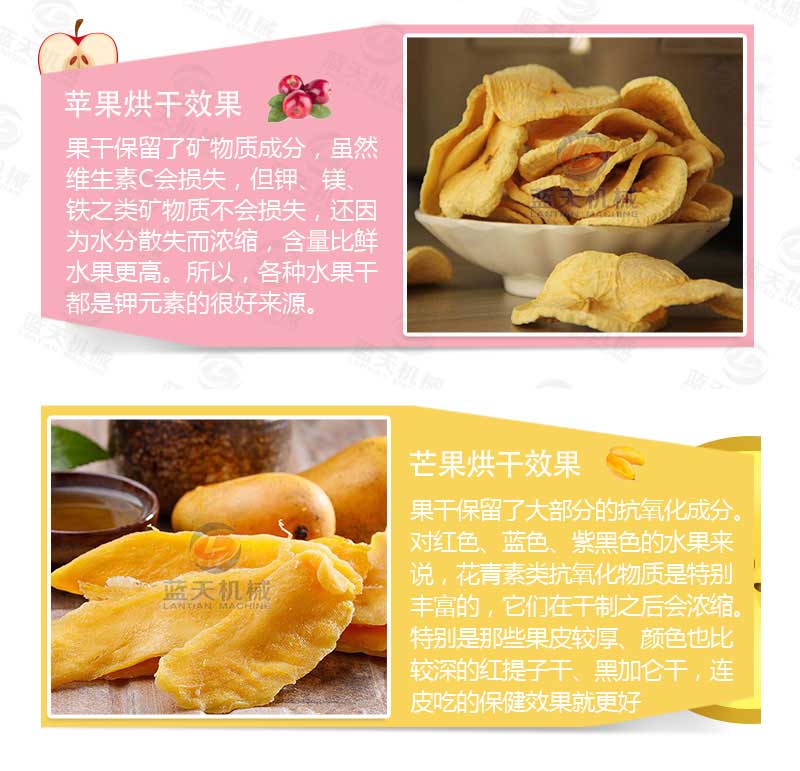檸檬烘干機產品烘干介紹