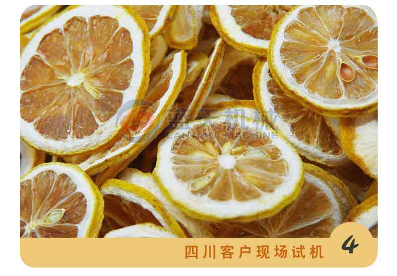 檸檬烘干機廠家實拍