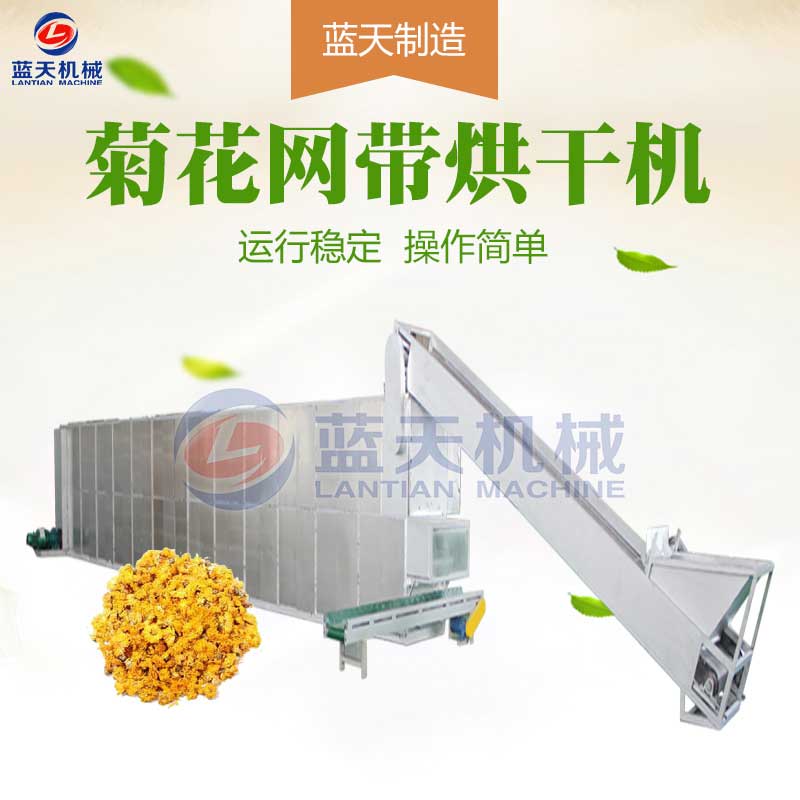 菊花烘干機