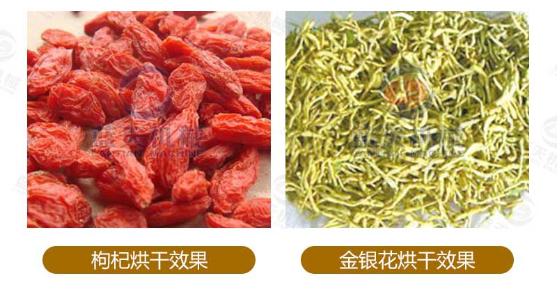 菊花烘干機烘干效果