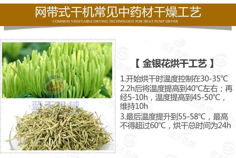 網帶式菊花烘干機烘干工藝