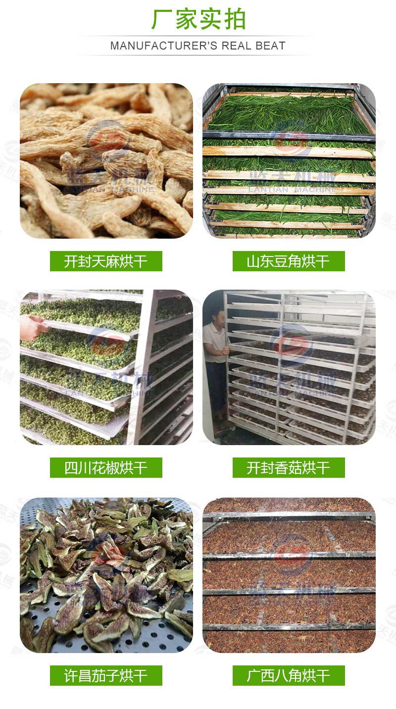 天麻烘干機廠家實拍
