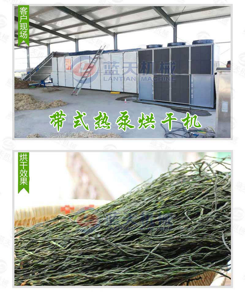 黃精烘干機私人定制