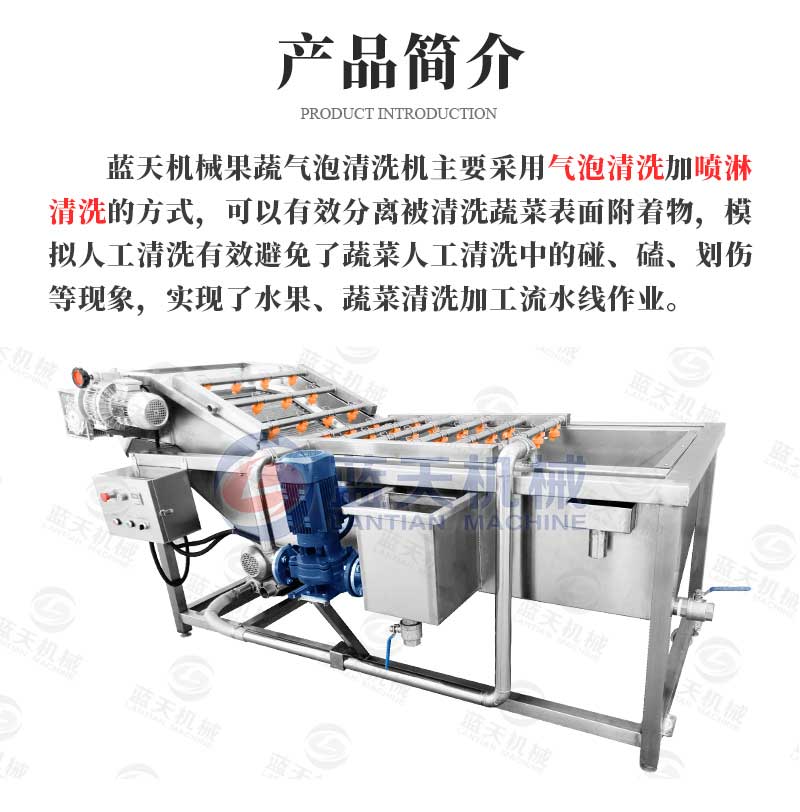 果蔬氣泡清洗機產品簡介