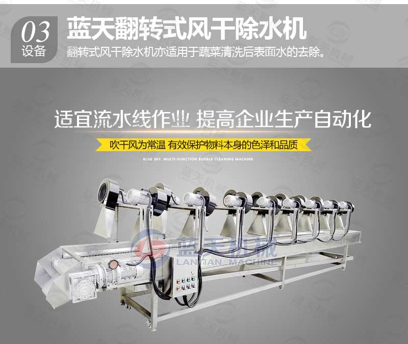 果蔬氣泡清洗機配套設備