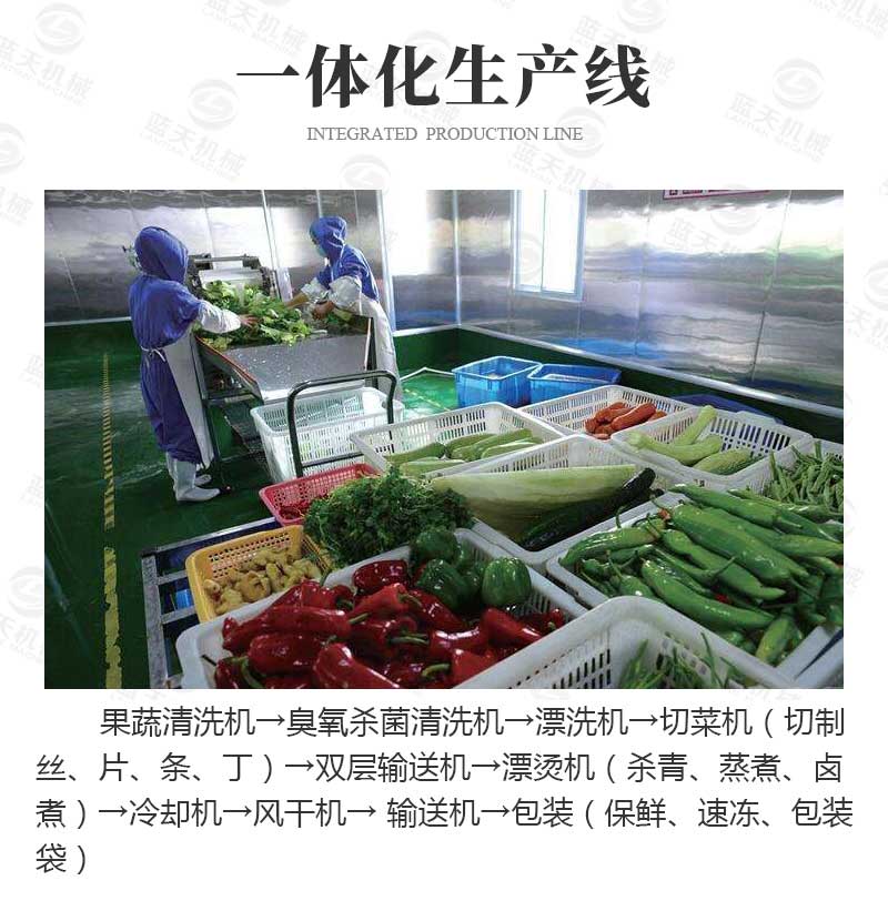 果蔬氣泡清洗機一體化生產線