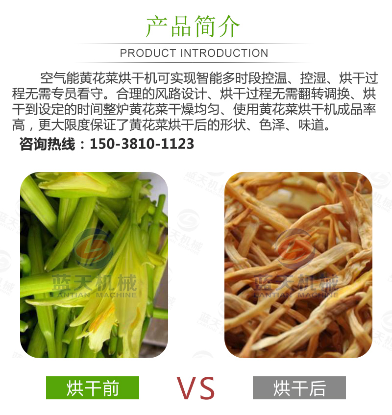 黃花菜烘干機